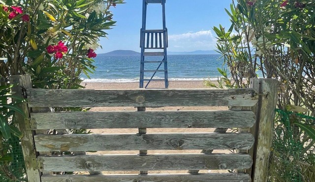 Hellenic Escapes: Bright & Cozy Beachfront Studio