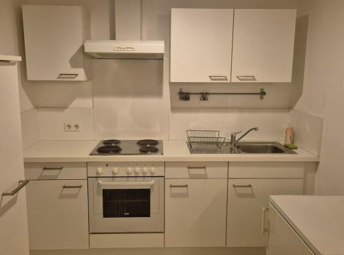 Helles Apartment mit Self Check-in