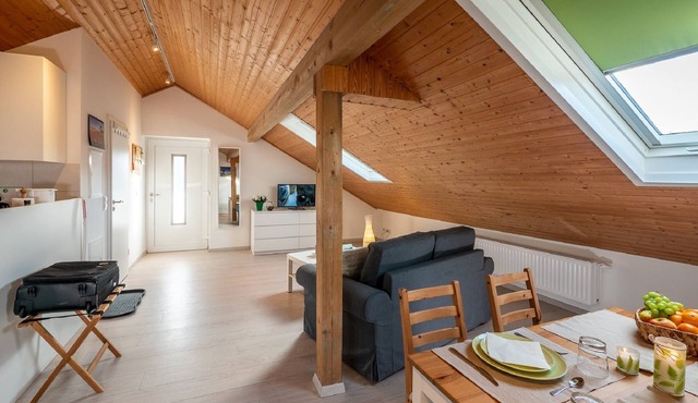 Helles Dachgeschoss-Appartement (45qm) mit kostenfreiem WLAN