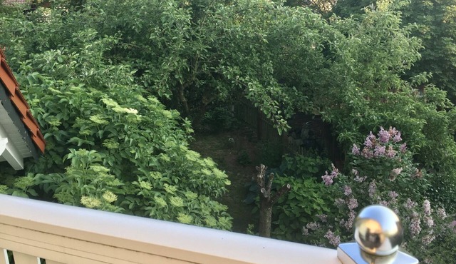 Helles Gemütliches Apartment mit Besonderem Flair