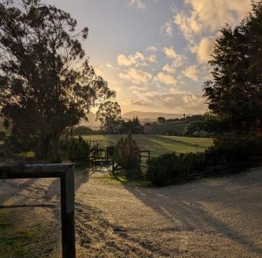Herdade da Hera