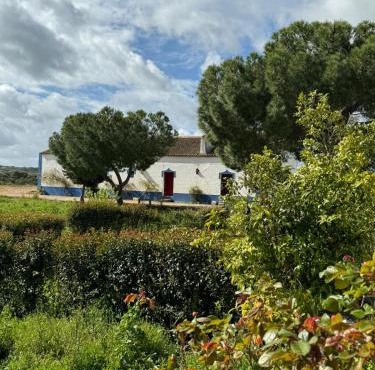 Herdade das Pintas