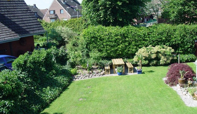 Heringsmöwe