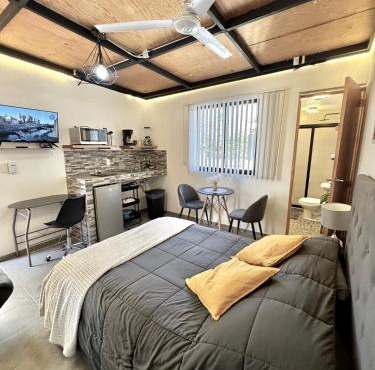 Hermoso e iluminado departamento con aire acondicionado citla 9