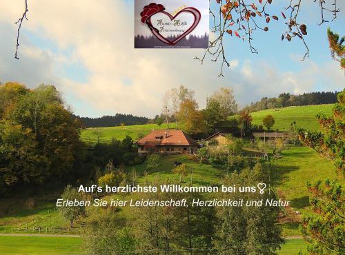 Hernis-Höfle 5 Sterne "Wohlfühlambiente " im Elztal