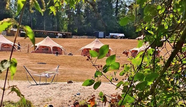 HERTFORD Farm yurt Tent Camping fire pit bbq pet friendly