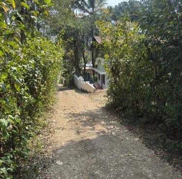 Hibisco Hideout