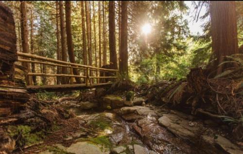 Hidden Creek Hideaway