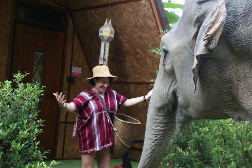 Hidden Gem Elephant