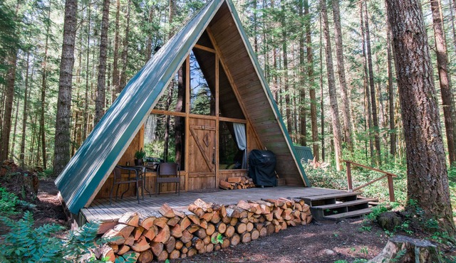 Hidden Gem! Modern A-frame in wooded wonderland next to the Nisqually river
