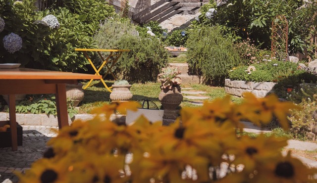 Hidden Gem near city center- garden kitchen, sauna