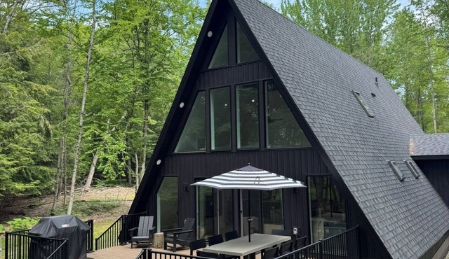Hidden gem, nestled in the woods on Lake Bellaire.