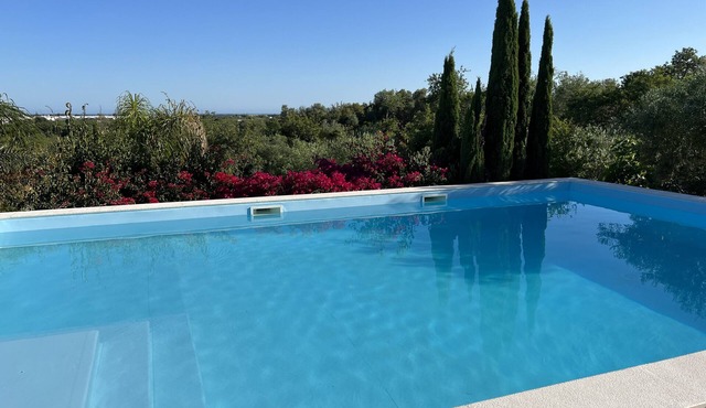 Hidden Gem with complete privacy.
