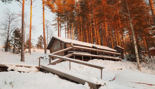 Hidden Tiny House