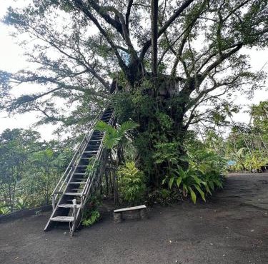 Hideaway Treehouse