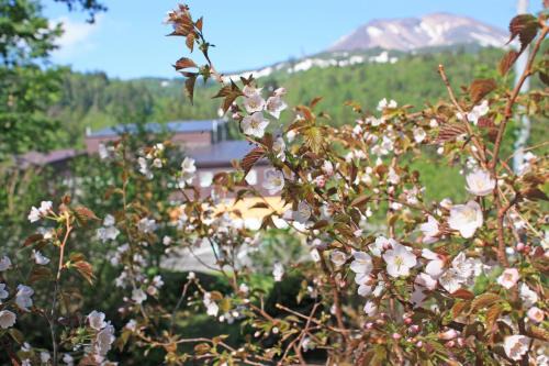 Higashikawa Asahidake Onsen Hotel Bear Monte