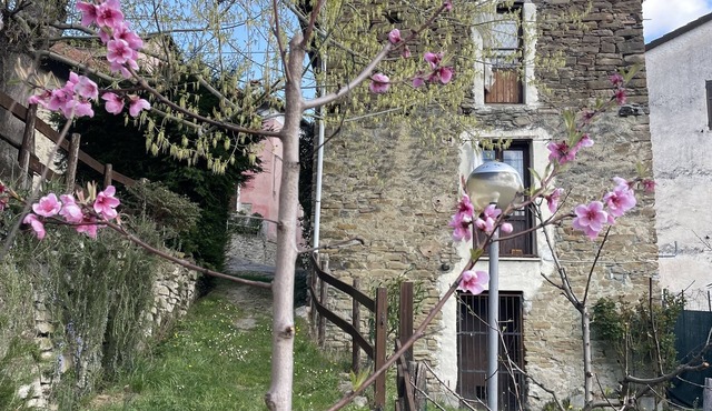 HIGH MONFERRATO STYLE HOUSE IN STONE AMONG THE VINEYARDS