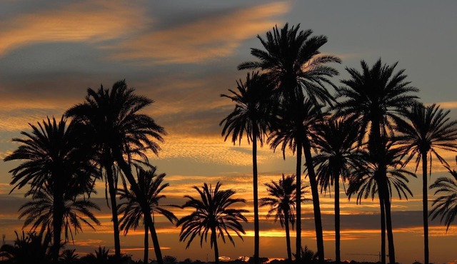 High quality & sun-kissed - great view over the sea, harbor & salt lakes, WiFi B1