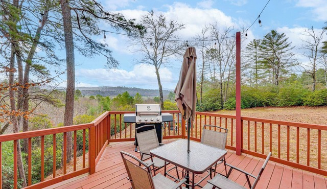 Hike, Boat & Explore: Mtn-View Hayesville Hideaway