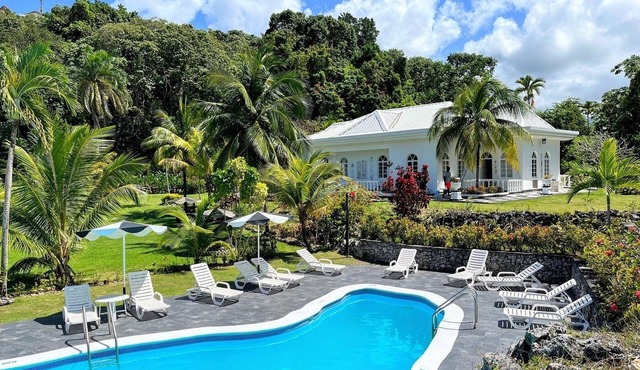 Hike to the peak of Jamaica's highest mountain range! 4 Suites w/Parking & BFast