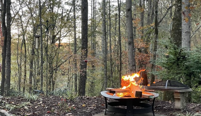 Hiking, Biking & Mountain Retreat! Minutes to DuPont & Pisgah Nat’l Forrest!