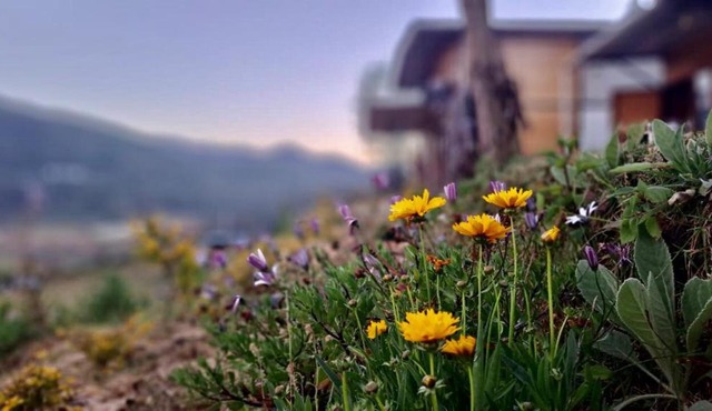 HILL VIEW