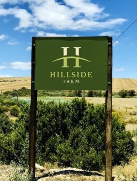 Hillside River House