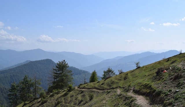 Himalayan Orchards Farmstay In The Shimla Hills