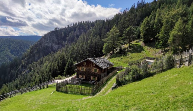 Hirschhof Pfrein - Hideaway