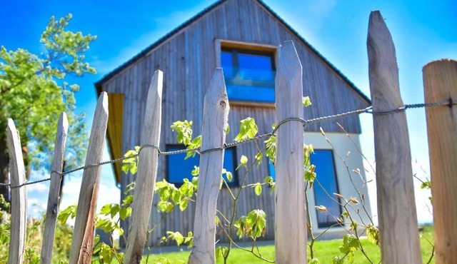 Hisa Vukan - Eco House in middle of vineyard with Sauna!