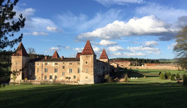 Historic Castle - Beaujolais Vert - Sleeps 8 (150 m²) - Swimming Pool