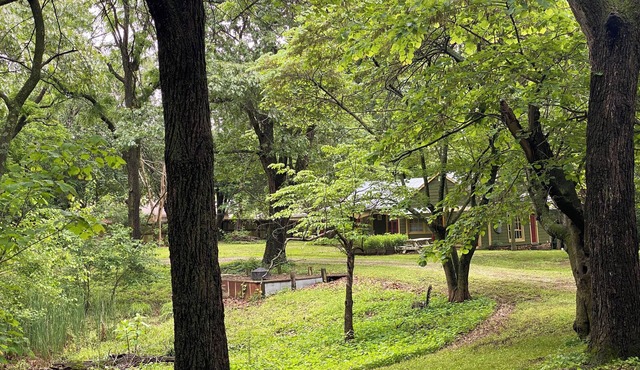 Historic Charming private 1-BR Cottage in Springfield Tucked away in the Trees!