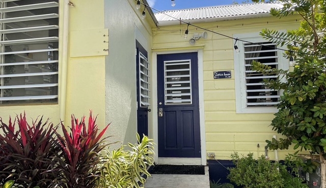 Historic Downtown St. Thomas Cottage - Spice House