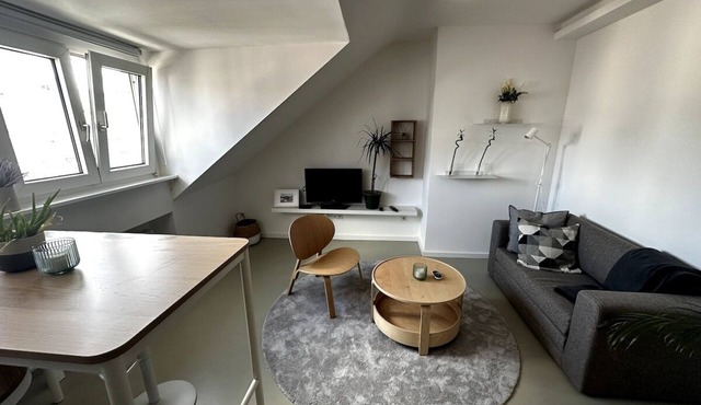 Historic Haven: Stylish 2BR Apartment In Altstadt