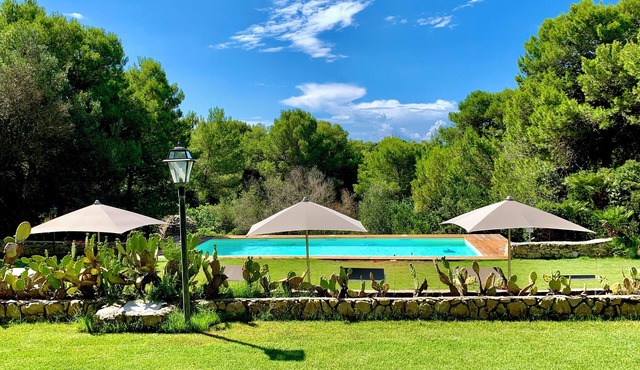 Historic Mansion from the 1900s with a Private Pool and Centuries-Old Park - Porto Selvaggio