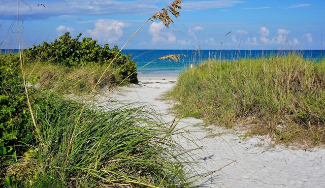 Historic Pass-A-Grille Beach Compound 5/4