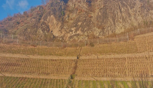 Historic villa with a view of Drachenfels