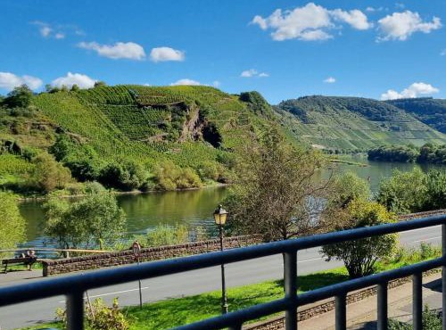 Historisches Mosel-Refugium im Alten Winzerhaus am Calmont