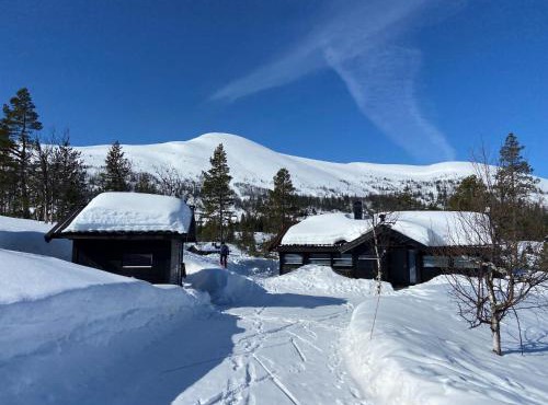 Hito - cabin between Flå and Eggedal