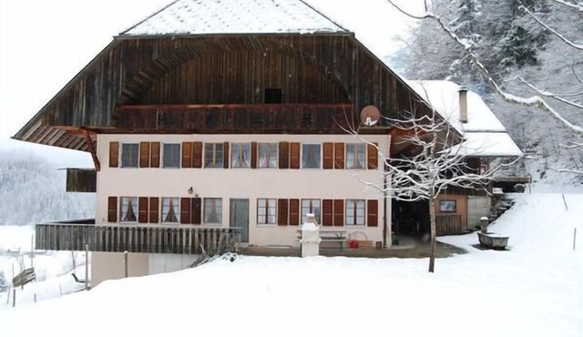 Hof Cholere