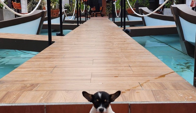 Hoi An Coco Bungalows