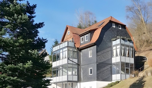 Holiday Apartment 'Romantik Im Thüringer Wald' with Balcony and Wi-Fi