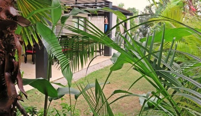 Holiday apartment Las Terrenas for 2 - 10 persons with 3 bedrooms - Holiday apartment in one or mult
