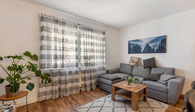 Holiday Apartment 'Fewo45' with Wi-Fi
