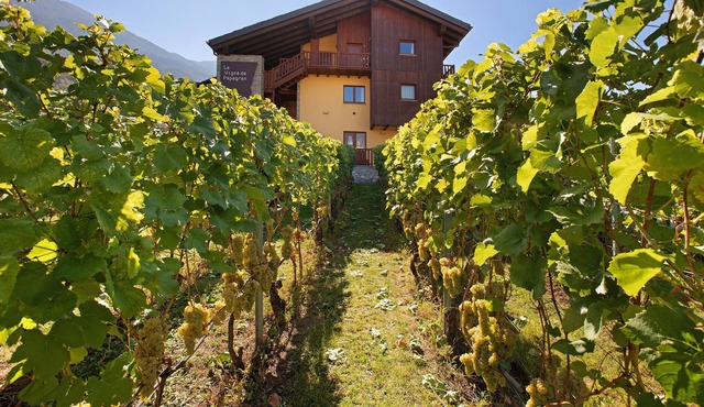 Holiday Apartment "La Vigne De Papagran 7" with Mountain View, Shared Garden & Wi-Fi