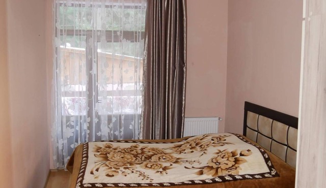 Holiday apartment "Neli" in Borjomi