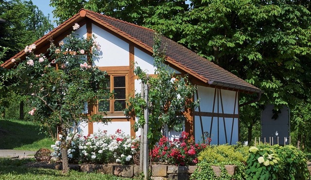 Holiday Apartment "Winzerhof Wörner" with Mountain View, Shared Garden & Wi-Fi