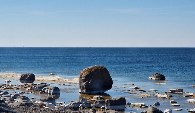 Holiday between forest and paddocks in Småland
