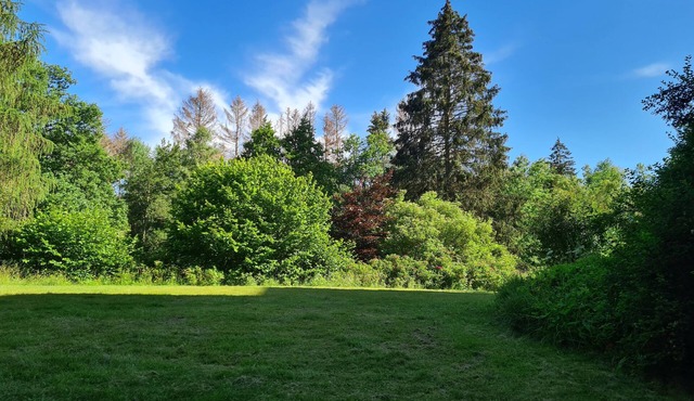 HOLIDAY FLAT AT THE TROUT PARK IN THE SAUERLAND IN BRILON