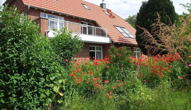 Holiday flat "Schwalbennest" with terrace
